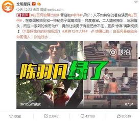 北京大林爆料事件视频全集,揭秘背后真相与争议