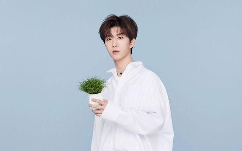 白鹿范丞丞最新爆料视频,娱乐圈幕后真相大曝光  第1张