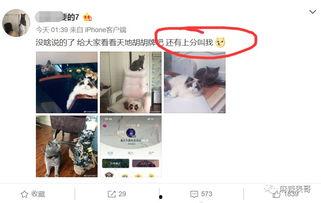 网红直播吃瓜入口在线观看,观众在线围观一饱眼福  第2张